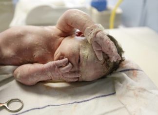 nascere con la camicia