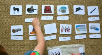 Sai cosa sono le carte tematiche o delle nomenclature? Ecco un altro elemento del metodo Montessori