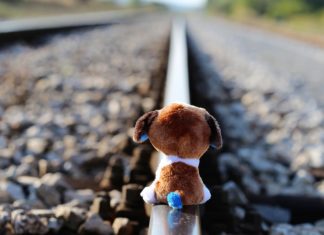 Sindrome dell'abbandono