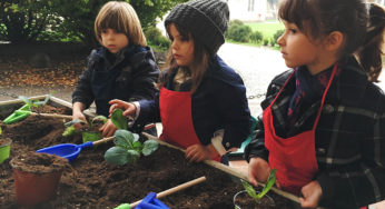 Ecco come preparare a casa un orto didattico coinvolgendo il tuo bambino