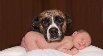 Bambini e animali: un rapporto speciale e salutare per i bambini
