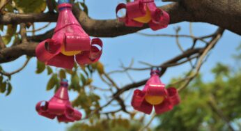 Divertiamoci riciclando: crea con il tuo bambino dei bellissimi fiori con la plastica!