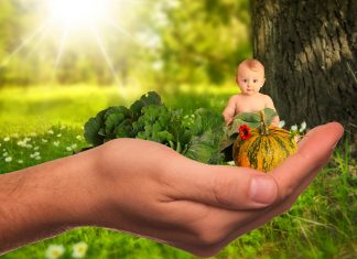 sviluppo cerebrale del bambino